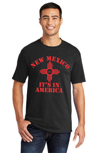 New Mexico It's In America